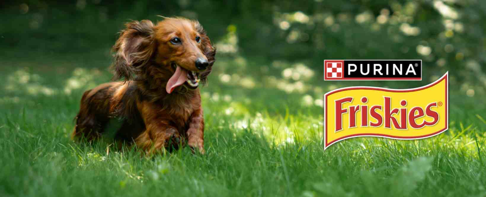 Avis croquettes Friskies