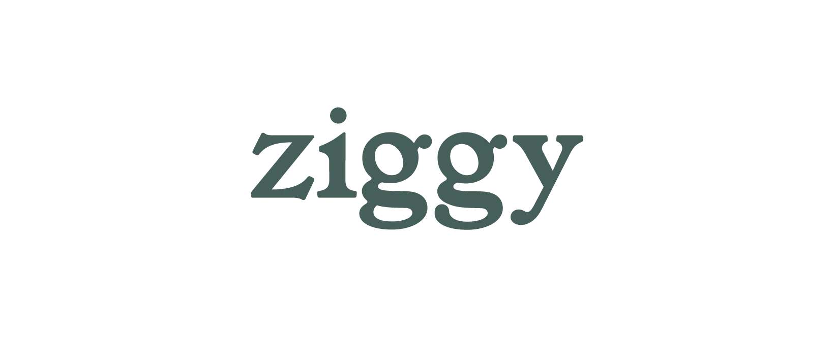 avis croquettes Ziggy Chat