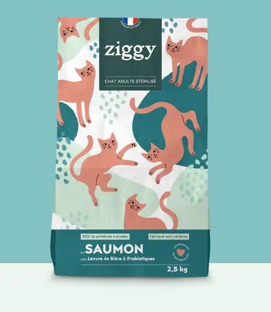 ZIGGY Chat stérilisé au Saumon