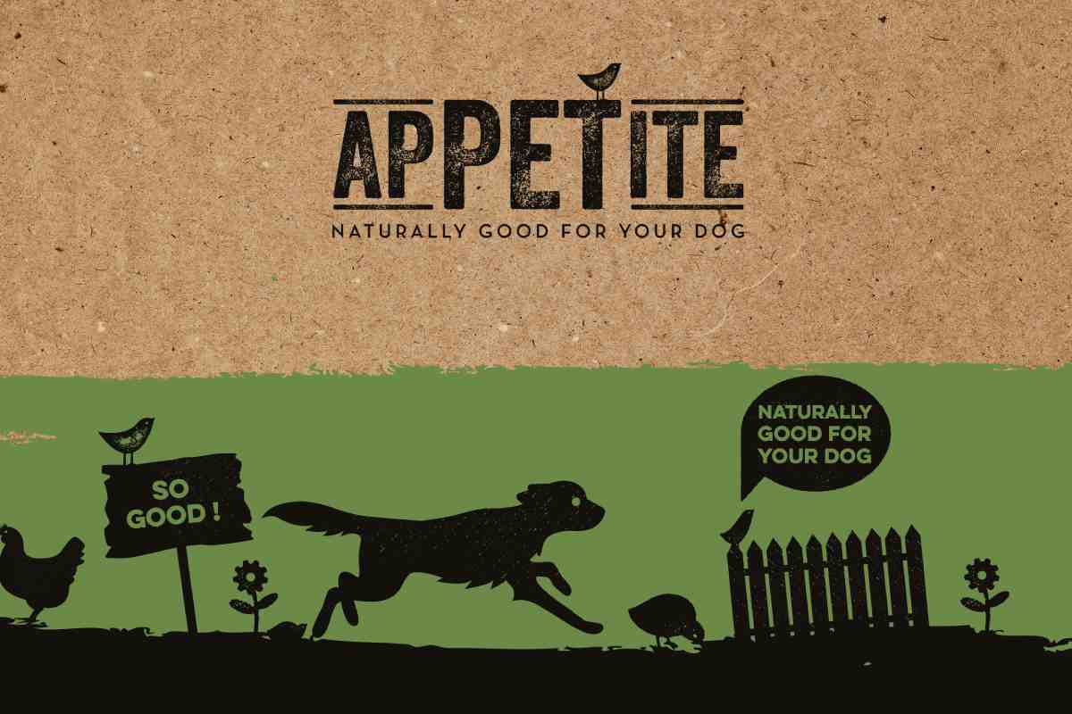 Croquettes Appetite Avis