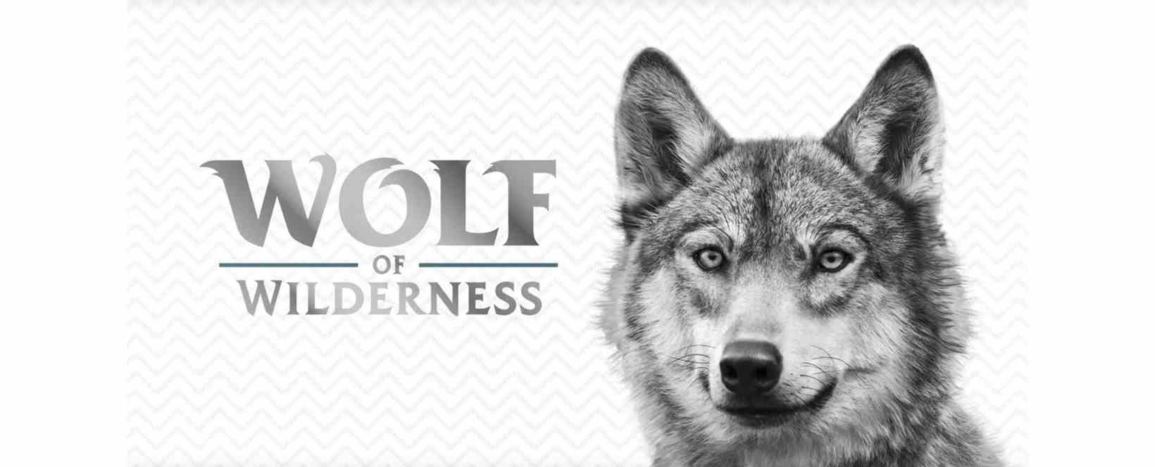 Wolf of Wilderness