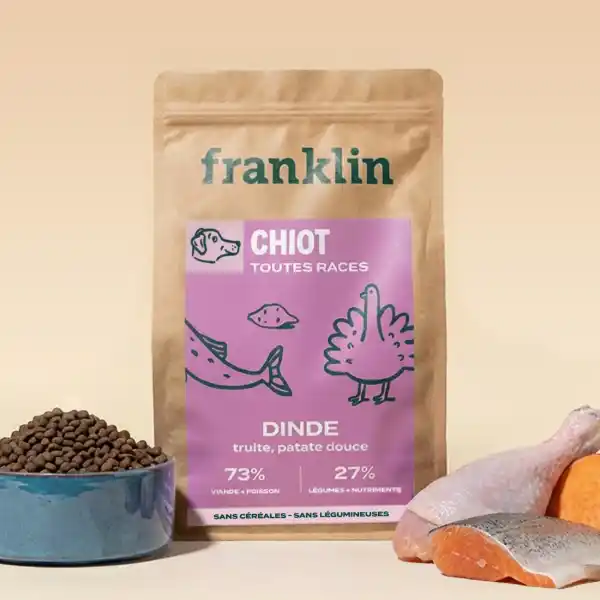Franklin Dinde, Truite Chiot
