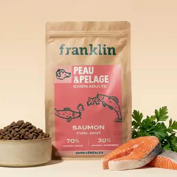 Franklin Saumon, Truite, Persil Croquettes chien Peau & Pelage